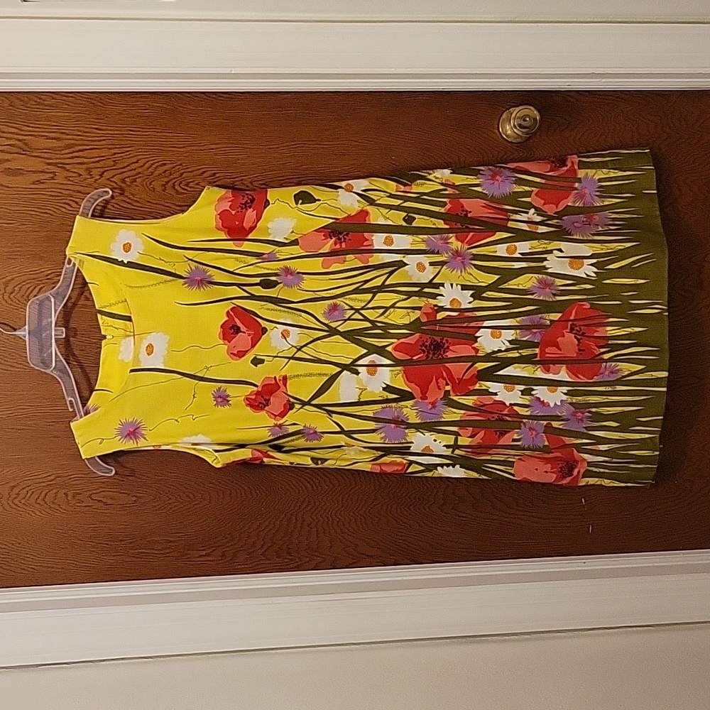 Vtg Janet Lynn med-larg union made dress